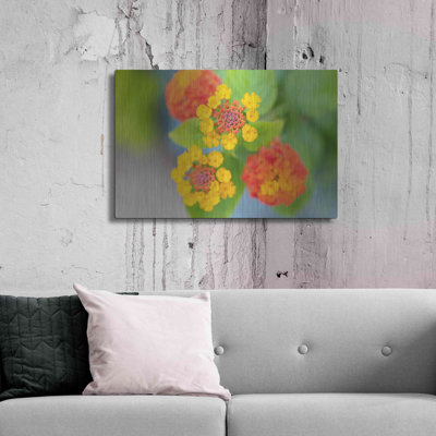 "Fleurs" par AKG