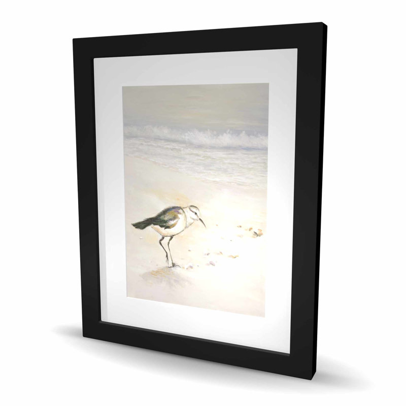 Imprimé Semipalmated Sandpiper Beach | Cadre encadré