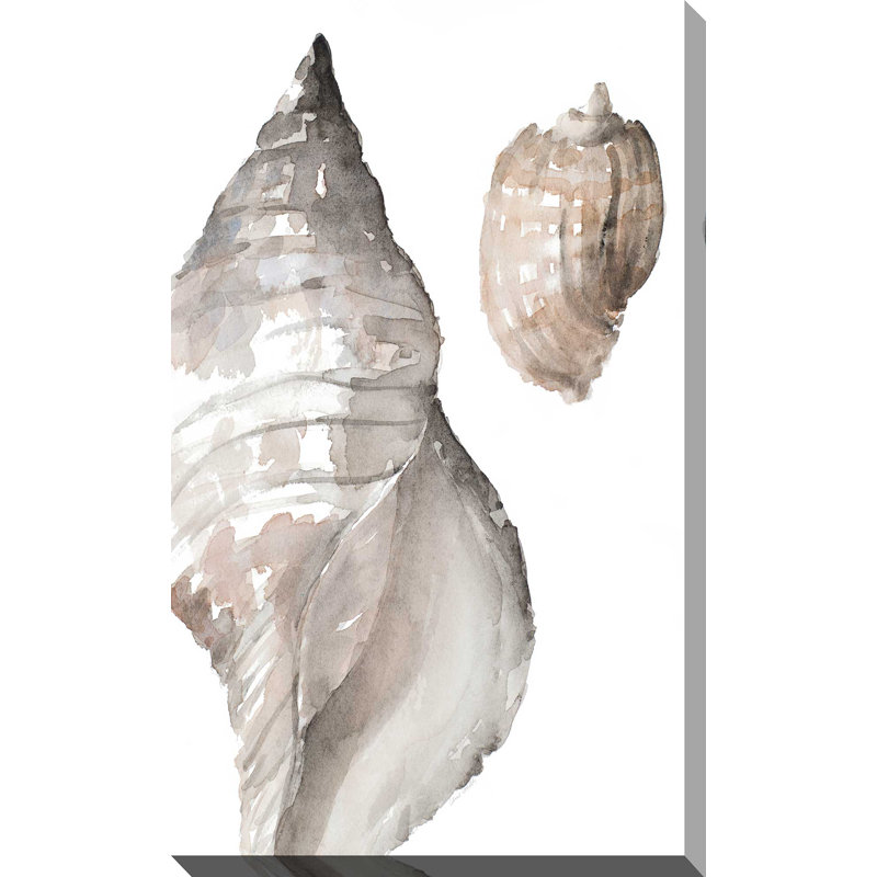 «Tonal Shell I», reproduction de peinture à l'aquarelle, H 30 po x l 18 po x P 1 po, Toile tendue