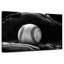 Gant de sirec tenant une balle de baseball-108816152