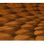 Icarus Solid Wood Coffee Table