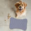 Tapis bleu élégant Elegant - 1 pièce