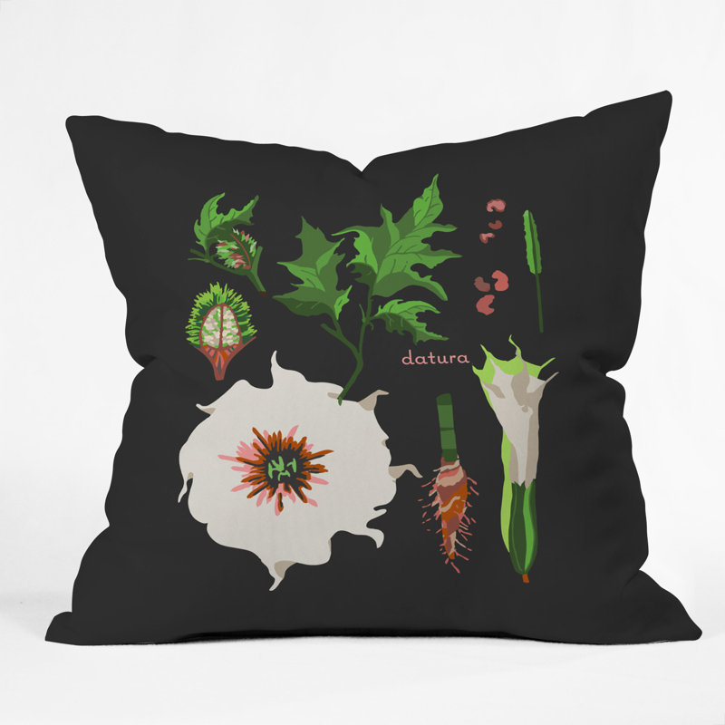 Coussin botanique holli zollinger désert, 18 po x 18 po
