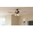 Chyeanne 52'' Ceiling Fan with Light Kit