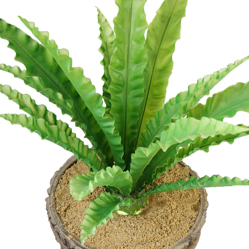 Plante grasse artificielle en pot Faning Aaru, H 51 po x l 24 po x P 24 po, Vert