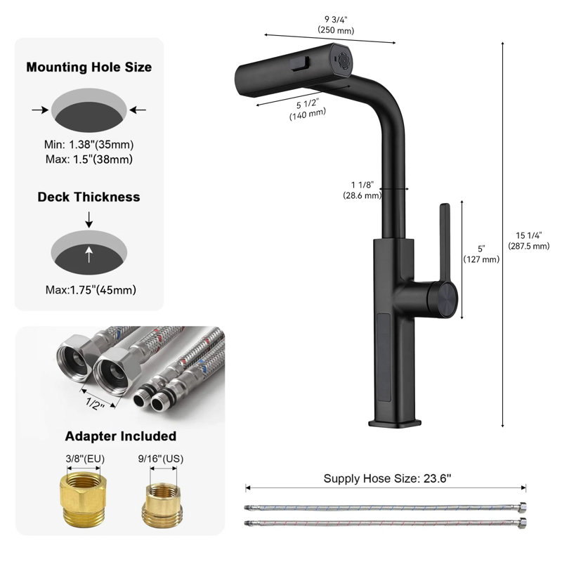 Single Handle Kitchen Faucet with Accessories, Black