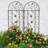 Extendable Rustproof Iron Garden Trellis Set for Climbing Plants, Versatile and Durable