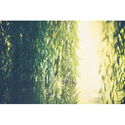 Nature Background 1 Piece Wrapped Canvas Wall Art