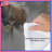 Deer Family In Fog Comforter-123586403