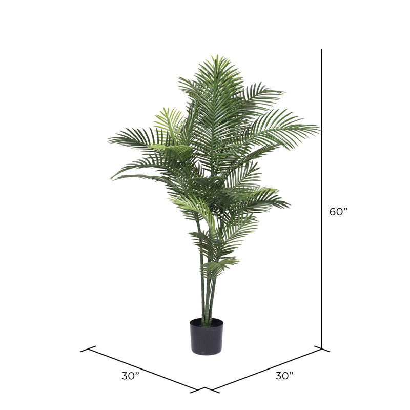 Palmier UV UV Robellini en pot rond