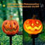 Décoration de halloween pour halloween