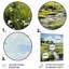 «Countryside Sheep in Pasture», reproduction sur cadre non encadrée-1015581098