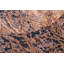 JeVon Wool Oriental Indoor Rug