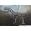 Arieta Rex Pillow Cover & Insert