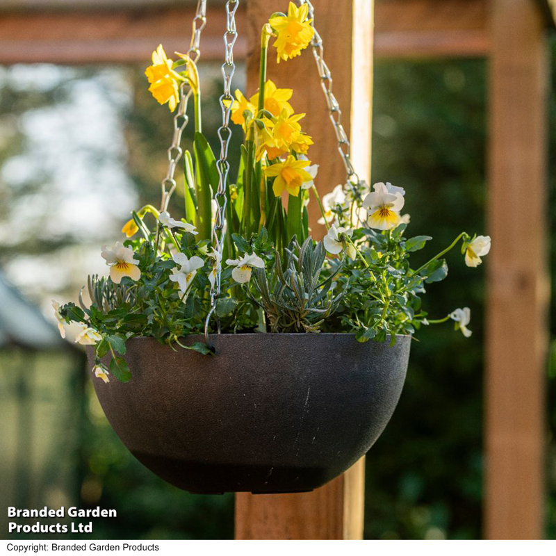 Hanging Planter
