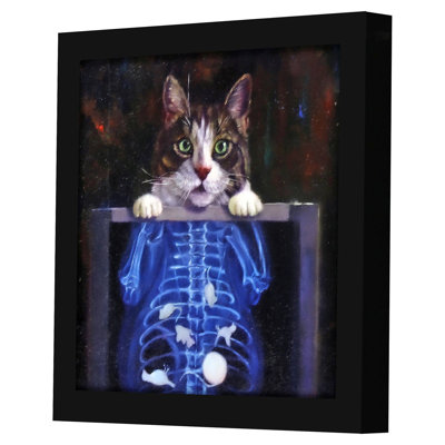 Cat Scan