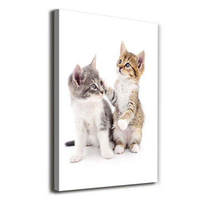 Two Small Cats - Wrapped Canvas Print