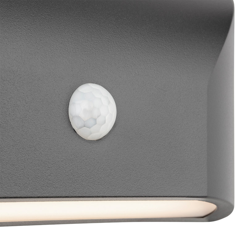 Graphite 113cm H Integrated LED Outdoor Sconce