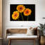 Trois marguerites Harnek sur fond sombre-108136813