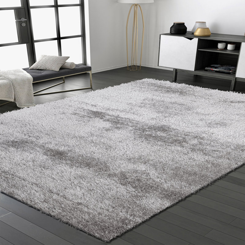 Ceianne Shag Indoor / Outdoor Area Rug, Runner 60 x 220 cm