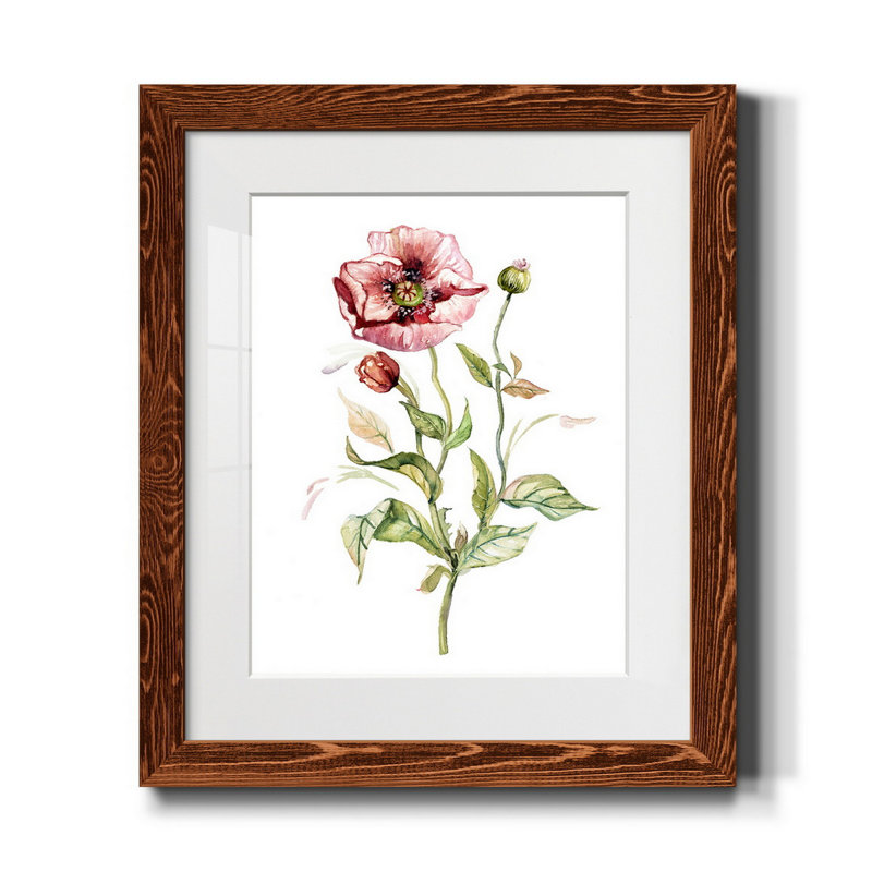 Coquelicot sauvage - reproduction de photo encadrée sur papier, H 24 po x l 18 po x P 1,5 po, Érable encadré