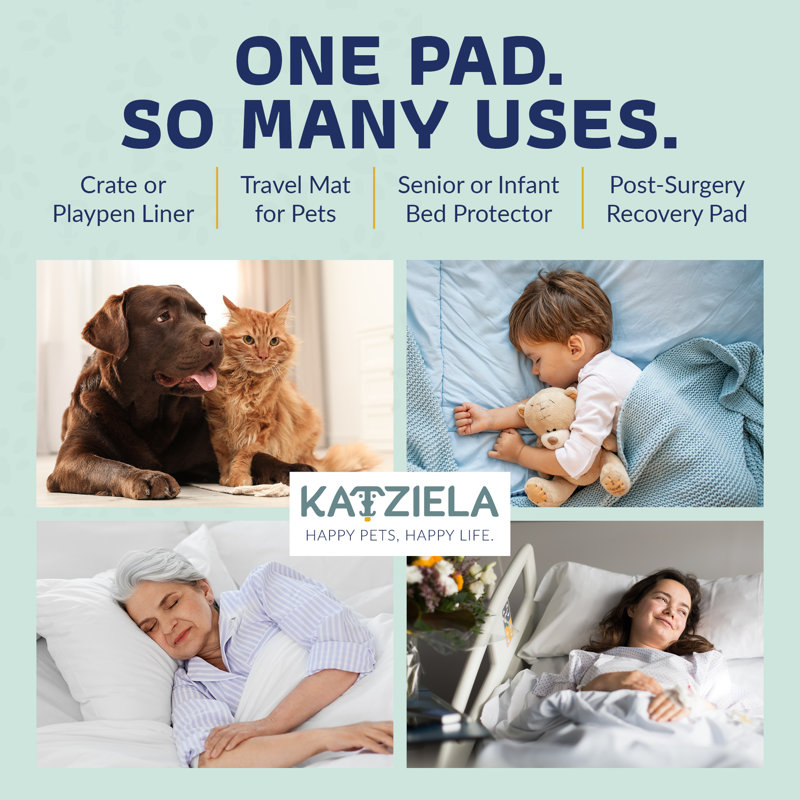 Coussinets pour chiots Katziela, H 1 po x l 50 po x P 30 po 