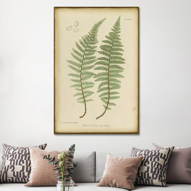 Lastrea Filix 1 Piece Wrapped Canvas Painting, 152.5 cm H x 101.5 cm W