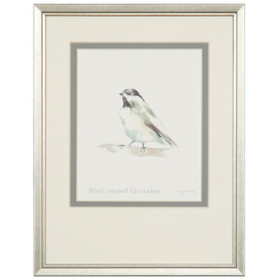 Black-Capped Chickadee Print