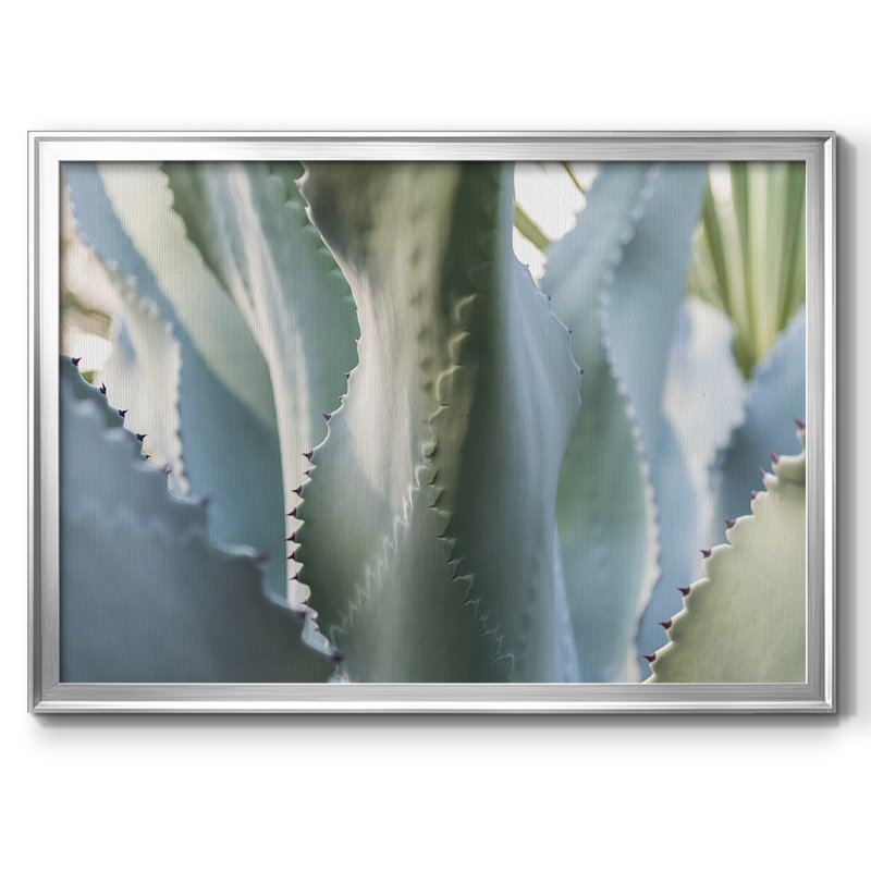 Blue Agave II, reproduction d'art sur toile, Argent, H 26 po x l 38 po x P 1,5 po