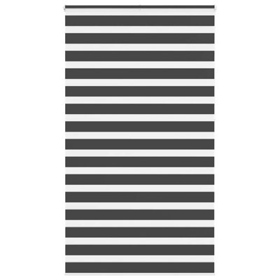 George Oliver Zebra Blind Polyester