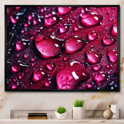 " Red Rose With Raindrops VII "