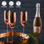 Vindas 285ml Stainless Steel Flute Set-2145920178