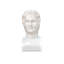 Hector Marble Bust Sculpture