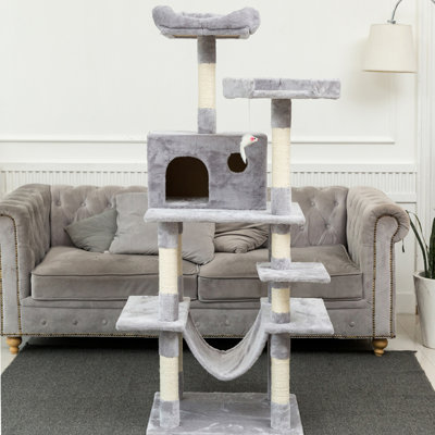 arbre à chat gris