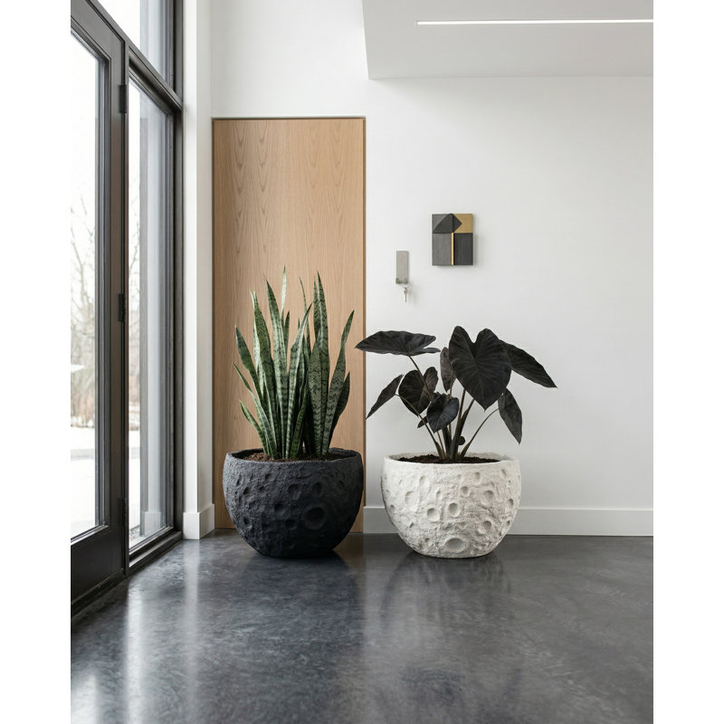 Crater Planter, White Stone, White Stone