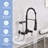 DORNBERG Pull Down Spray Kitchen Faucet