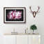 Beautiful Pink Carnation Petals - Single Picture Frame Print on MDF-56891498-56891496