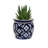 Home&Manor Ceramic Medium Planter Blue/White