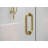 Albedo 24 in. x 78 in. Fully Frameless Hinge Shower Door-35936295