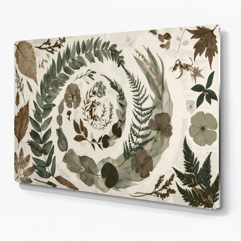 Plantes pressées botaniques de style botanique, H 144 po x l 216 po x P 0,05 po