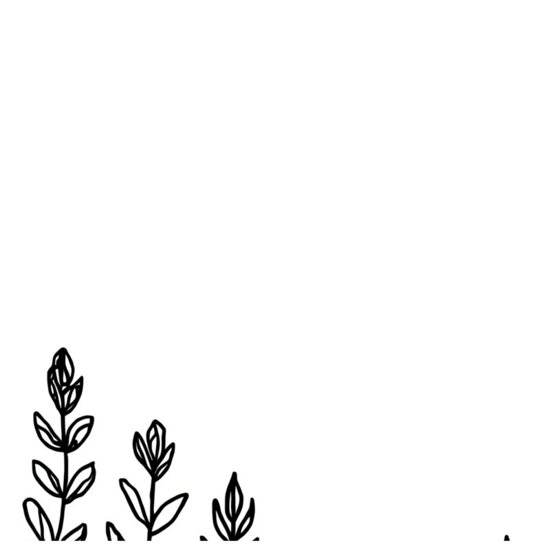 Couvertures noires et blanches, L 50 po x H 60 po