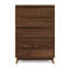 Catalina 5 - Drawer Solid Wood Dresser-24674744
