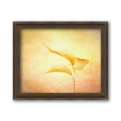 Autumn Triad par Hal Halli. Impression sur papier - Montée et encadrée avec de l'acrylique transparent