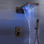 Pomme de douche double Rough Rain