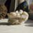 Aulo Figurines & Sculptures