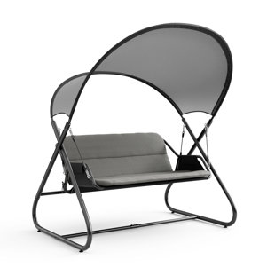 2 Person Porch Swing with Canopy