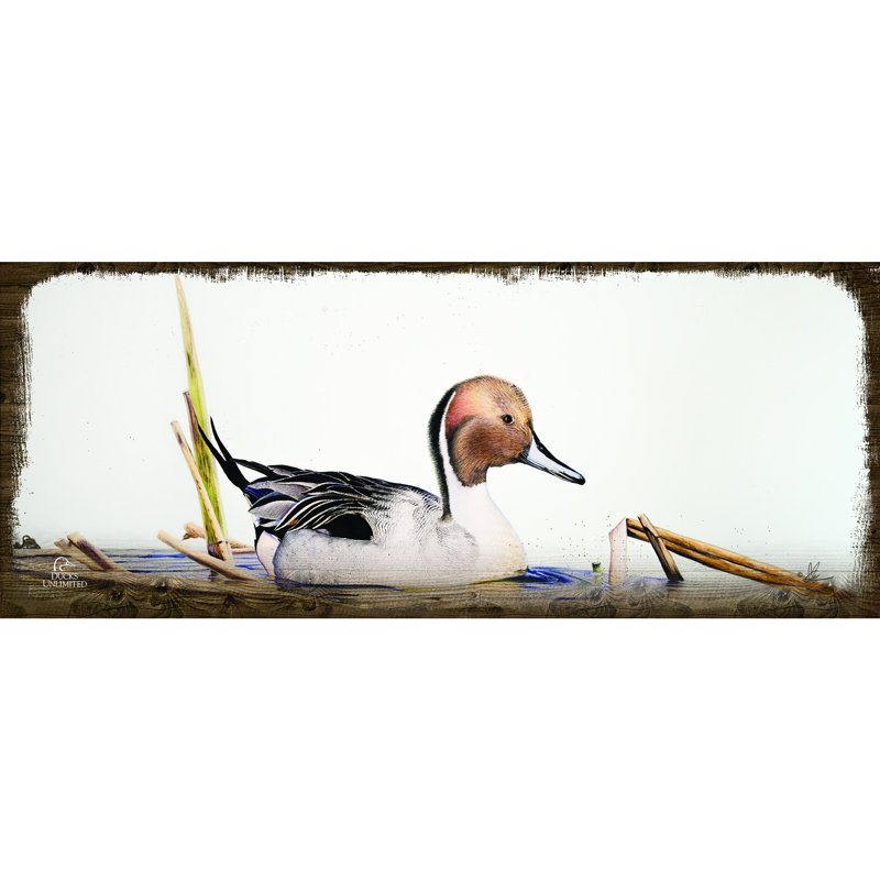 Pintail, 30 x 76 cm, panneau mural rustique en bois de style ferme