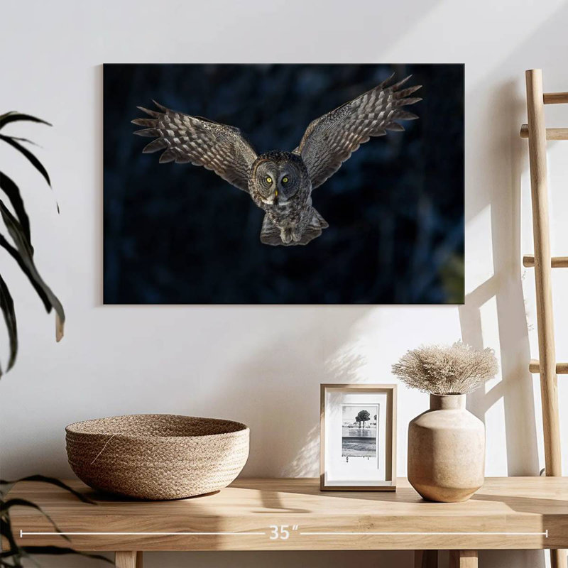 Flying Gray Owl, 16" H x 24" W