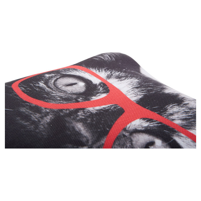 Cool Cat Outdoor Throw Pillow