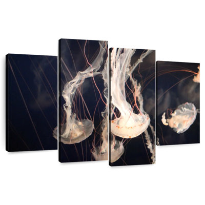 Light Of Jellyfish
